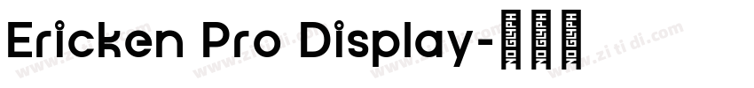 Ericken Pro Display字体转换